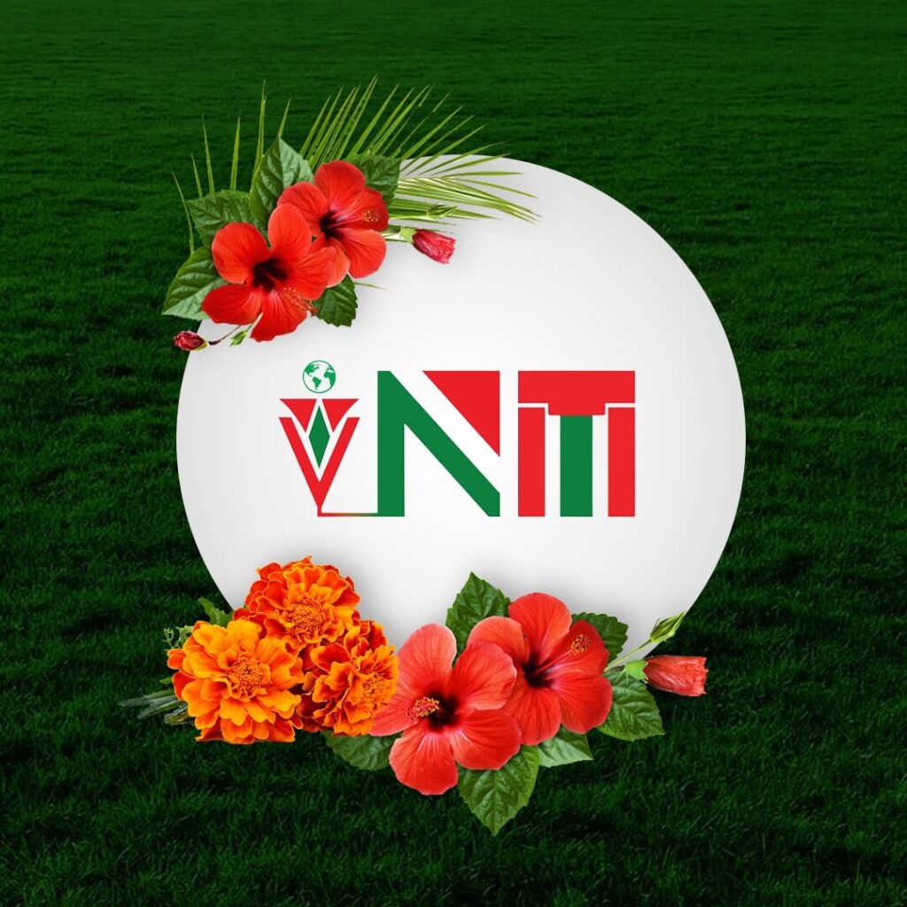 Nokrek IT Logo